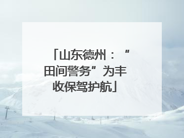 山东德州：“田间警务”为丰收保驾护航
