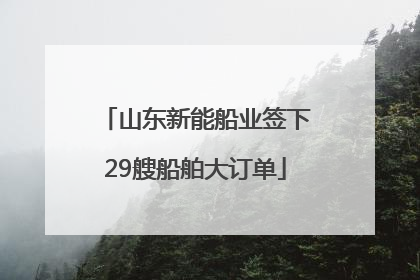 山东新能船业签下29艘船舶大订单