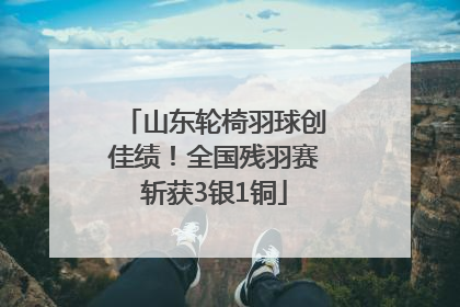 山东轮椅羽球创佳绩！全国残羽赛斩获3银1铜