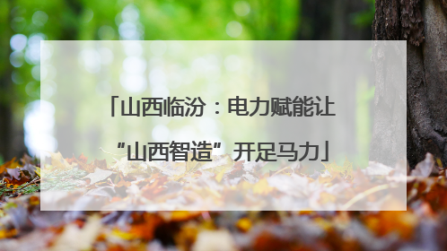 山西临汾：电力赋能让“山西智造”开足马力
