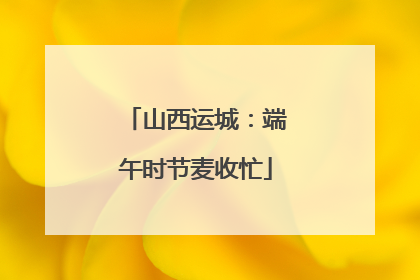 山西运城：端午时节麦收忙