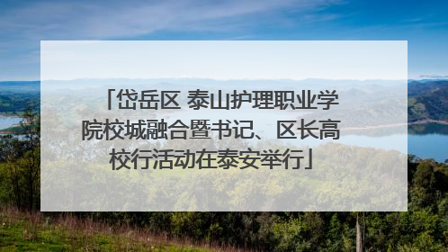 岱岳区 泰山护理职业学院校城融合暨书记、区长高校行活动在泰安举行