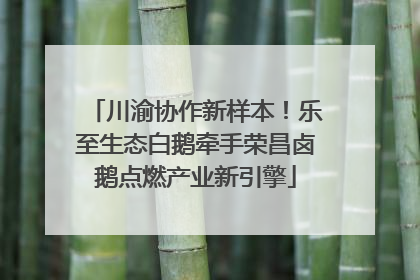 川渝协作新样本！乐至生态白鹅牵手荣昌卤鹅点燃产业新引擎