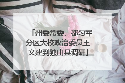 州委常委、都匀军分区大校政治委员王文建到独山县调研