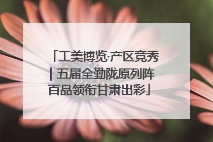 工美博览·产区竞秀｜五届全勤陇原列阵 百品领衔甘肃出彩