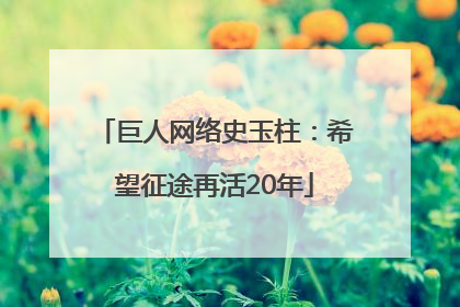 巨人网络史玉柱：希望征途再活20年