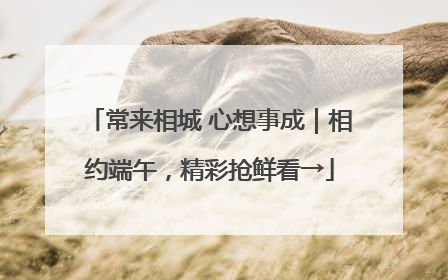常来相城 心想事成｜相约端午，精彩抢鲜看→