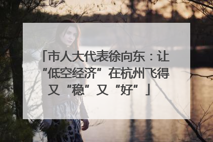 市人大代表徐向东：让“低空经济”在杭州飞得又“稳”又“好”