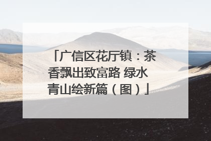 广信区花厅镇：茶香飘出致富路 绿水青山绘新篇（图）