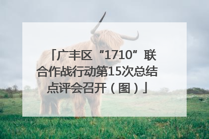 广丰区“1710”联合作战行动第15次总结点评会召开（图）