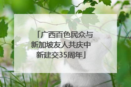广西百色民众与新加坡友人共庆中新建交35周年