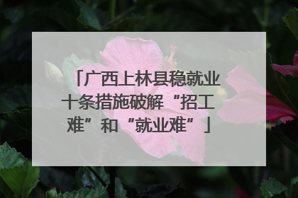 广西上林县稳就业十条措施破解“招工难”和“就业难”