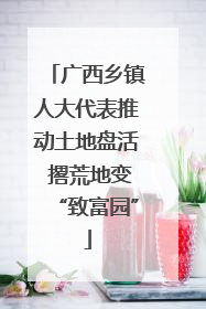 广西乡镇人大代表推动土地盘活 撂荒地变“致富园”