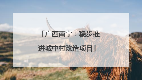 广西南宁：稳步推进城中村改造项目