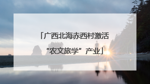 广西北海赤西村激活“农文旅学”产业