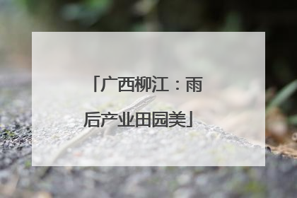 广西柳江：雨后产业田园美