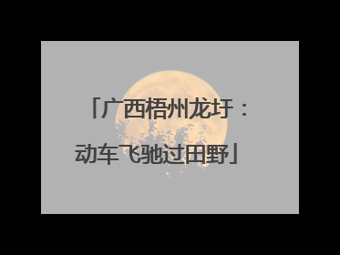广西梧州龙圩：动车飞驰过田野