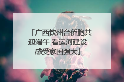 广西钦州台侨胞共迎端午 看运河建设感受家国强大