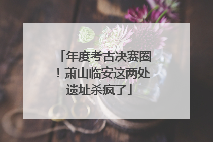 年度考古决赛圈！萧山临安这两处遗址杀疯了