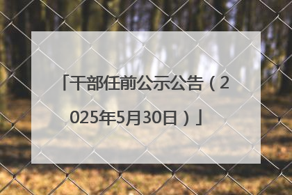 干部任前公示公告（2025年5月30日）
