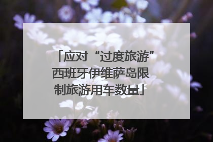 应对“过度旅游” 西班牙伊维萨岛限制旅游用车数量