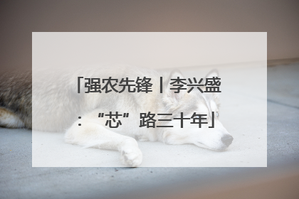 强农先锋丨李兴盛：“芯”路三十年
