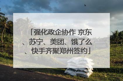 强化政企协作 京东、苏宁、美团、饿了么、快手齐聚郑州签约