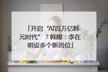 开启“AI百万亿韩元时代”？韩媒：李在明设多个新岗位