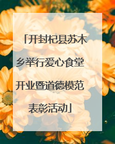 开封杞县苏木乡举行爱心食堂开业暨道德模范表彰活动