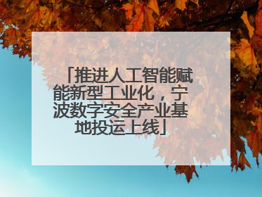 推进人工智能赋能新型工业化，宁波数字安全产业基地投运上线