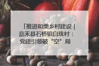推进和美乡村建设｜嘉禾县石桥镇白珠村：党建引领破“空”局 乡贤聚力绘就新图景