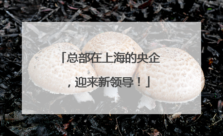 总部在上海的央企，迎来新领导！