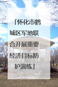 怀化市鹤城区军地联合开展重要经济目标防护演练