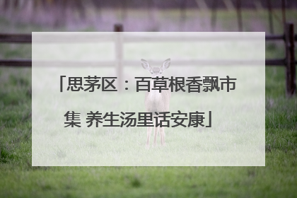 思茅区：百草根香飘市集 养生汤里话安康