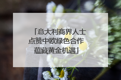 意大利商界人士点赞中欧绿色合作蕴藏黄金机遇