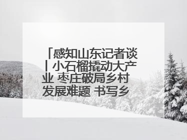感知山东记者谈丨小石榴撬动大产业 枣庄破局乡村发展难题 书写乡村共富答卷