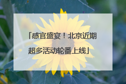 感官盛宴！北京近期超多活动轮番上线