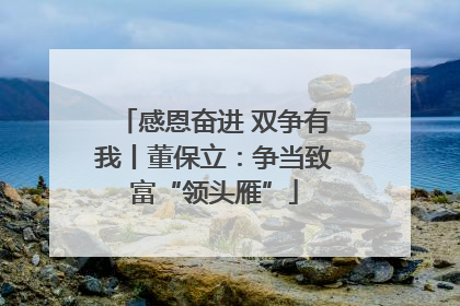 感恩奋进 双争有我丨董保立：争当致富“领头雁”