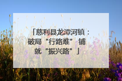 慈利县龙潭河镇：破局“行路难” 铺就“振兴路”