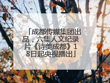 成都传媒集团出品，六集人文纪录片《诗美成都》18日起央视播出