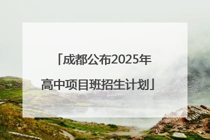 成都公布2025年高中项目班招生计划