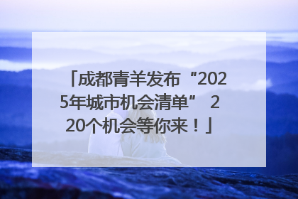 成都青羊发布“2025年城市机会清单” 220个机会等你来！