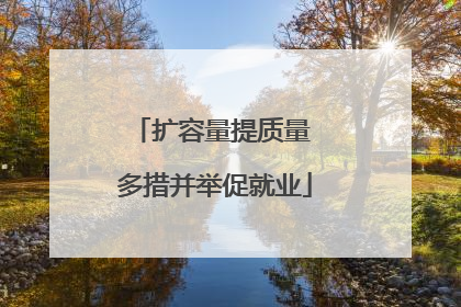 扩容量提质量 多措并举促就业