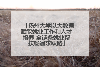 扬州大学以大数据赋能就业工作和人才培养 全链条就业帮扶畅通求职路