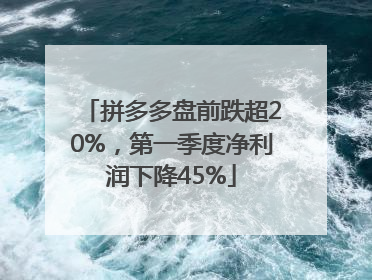 拼多多盘前跌超20%，第一季度净利润下降45%