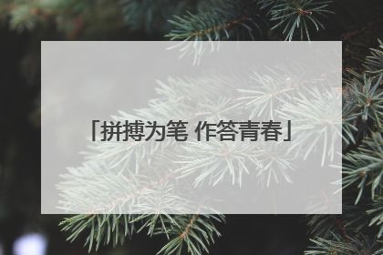 拼搏为笔 作答青春