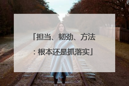 担当、韧劲、方法：根本还是抓落实