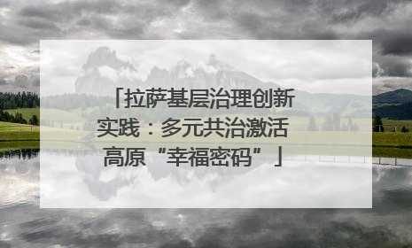 拉萨基层治理创新实践：多元共治激活高原“幸福密码”