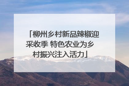 柳州乡村新品辣椒迎采收季 特色农业为乡村振兴注入活力