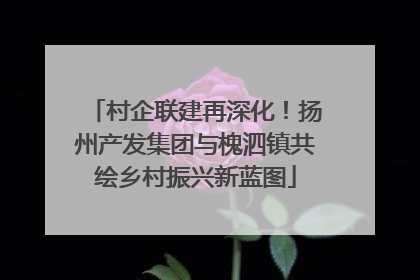 村企联建再深化！扬州产发集团与槐泗镇共绘乡村振兴新蓝图